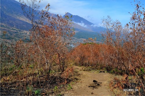 9-bukit-pergasingan-jalur-menurun-hutan-kering