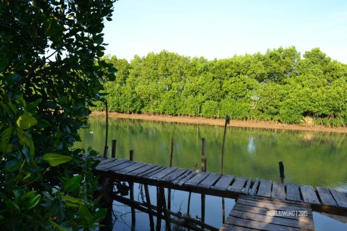 9-matahari-terbit-lasem-dermaga-sungai