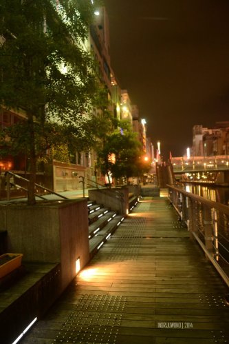 31-dotonbori-osaka-nightlife-river-bridge