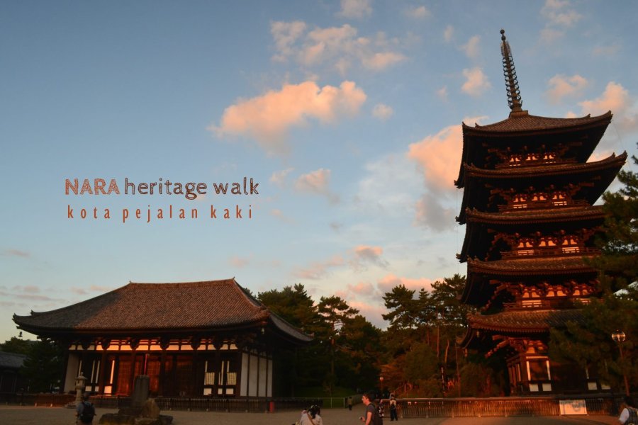 0-nara-japan-buddha-hall-kofukuji-X