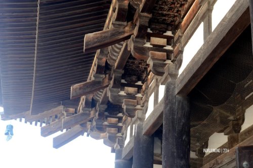 10-nara-japan-buddha-hall-kofukuji
