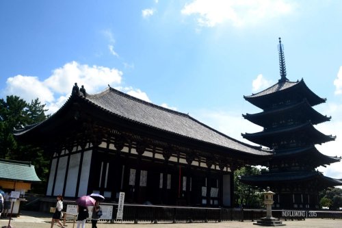 14-nara-japan-buddha-hall-kofukuji