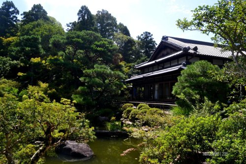 20-nara-japan-Yoshikien-Garden