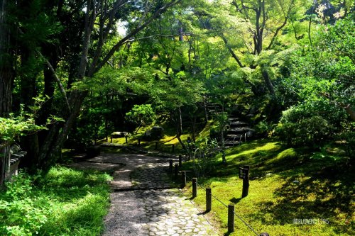 24-nara-japan-Yoshikien-Garden