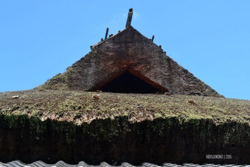 32-nara-japan-isuien-Garden