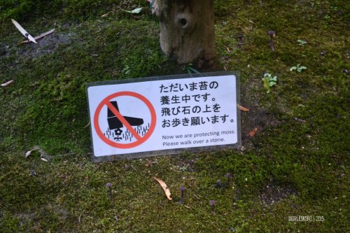 36-nara-japan-isuien-Garden