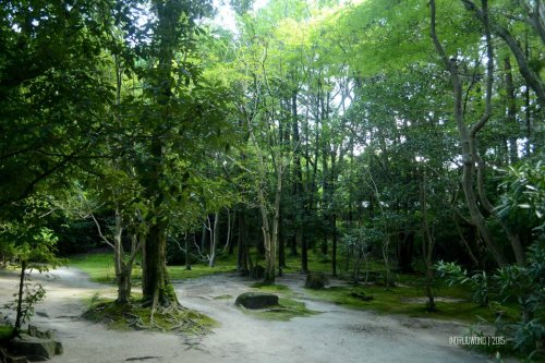 37-nara-japan-isuien-Garden