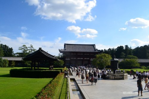51-nara-japan-todaiji-temple