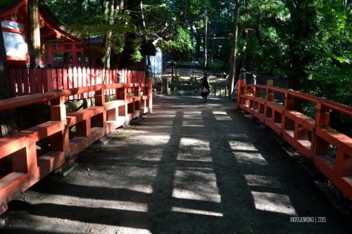 63-nara-japan-kasuga-taisha