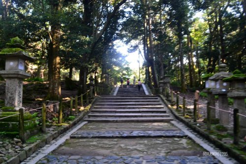 64-nara-japan-kasuga-taisha