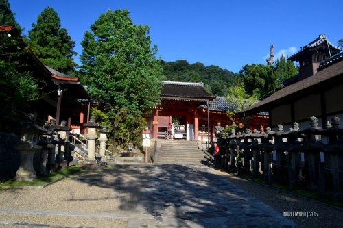 66-nara-japan-kasuga-taisha