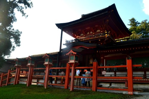 70-nara-japan-kasuga-taisha
