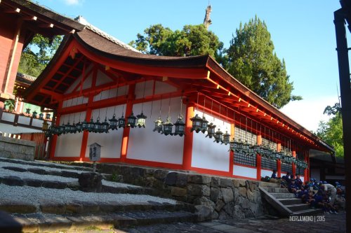 74-nara-japan-kasuga-taisha