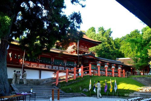 75-nara-japan-kasuga-taisha