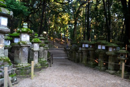 76-nara-japan-kasuga-taisha