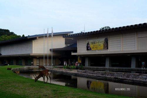 82-nara-japan-national-museum
