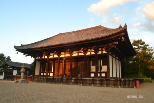 9-nara-japan-buddha-hall-kofukuji
