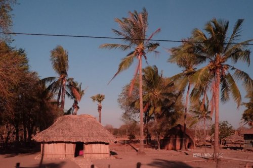 rumah-adat-timor-soe-10