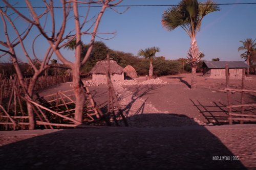 rumah-adat-timor-soe-14