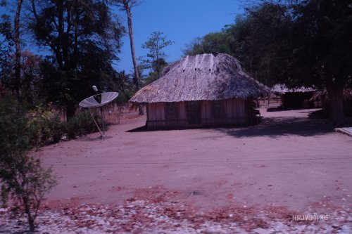 rumah-adat-timor-soe-9