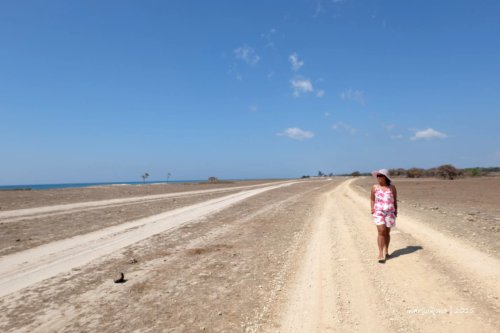 semau-13-a-padang-gersang