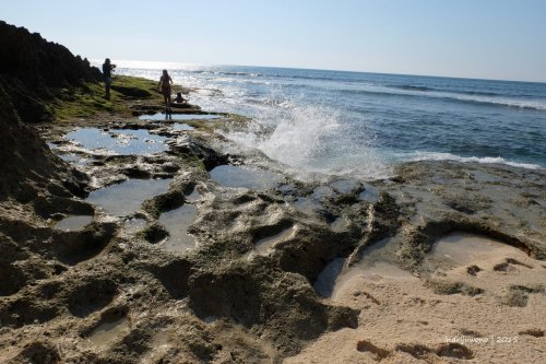 semau-15-a-pantai-oenian