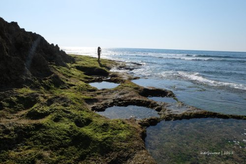 semau-15-pantai-oenian