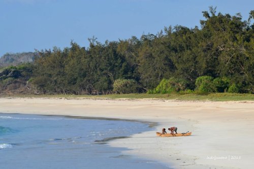 semau-17-pantai-oetebu