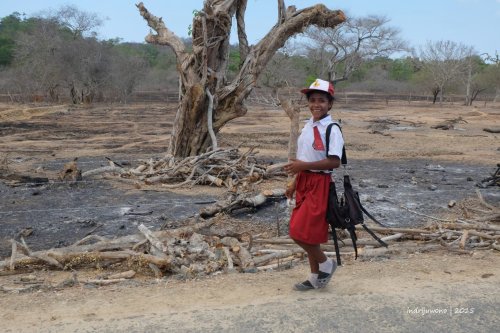 semau-6-anak-sekolah