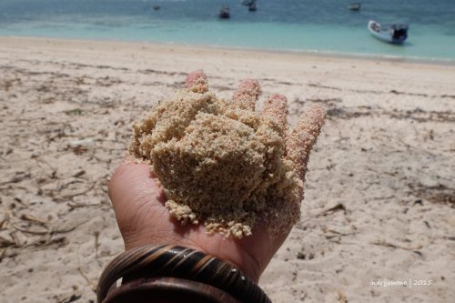 semau-9-pantai-otan-a