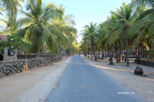 rote-35-nemberala-desa