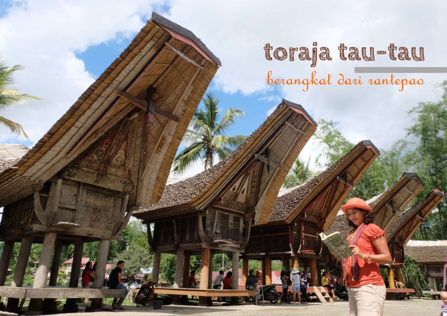 0-toraja-cover