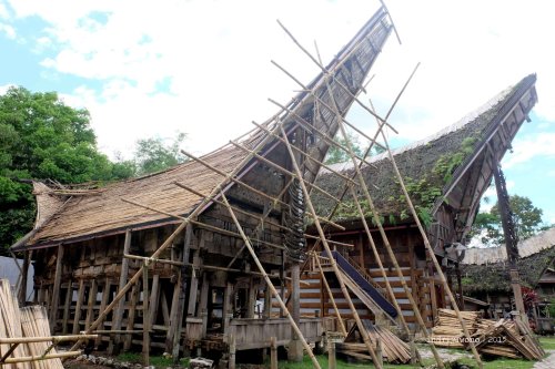 11-toraja-kete-kesu-tongkonan-4