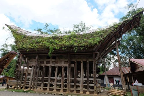 12-toraja-kete-kesu-tongkonan-5