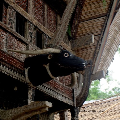 14-toraja-kete-kesu-tongkonan-banua