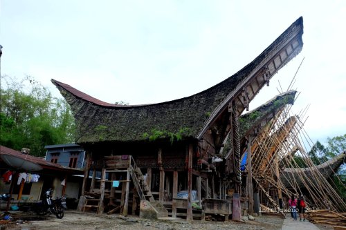 16-toraja-palawa-tongkonan
