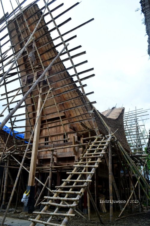 19-toraja-palawa-tongkonan