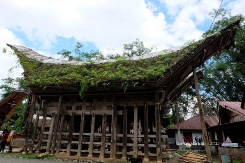 7-toraja-kete-kesu-tongkonan-banua
