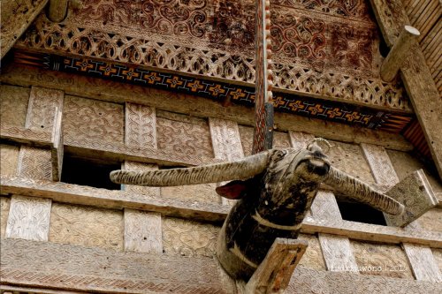 9-toraja-kete-kesu-tongkonan-banua