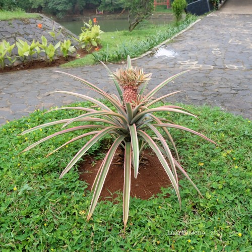 ijsw-architecture-ui-city-jakarta-5